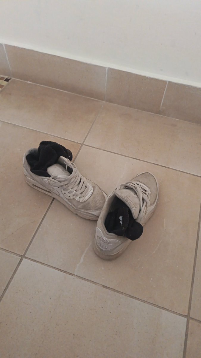 🇮🇹Italian Alpha🇵🇸 tweet media