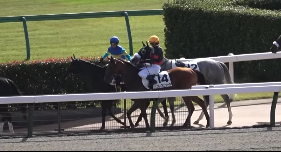 𝐇𝐈𝐑𝐎𝐊𝐈𝐍𓂃 ✴︎ tweet media