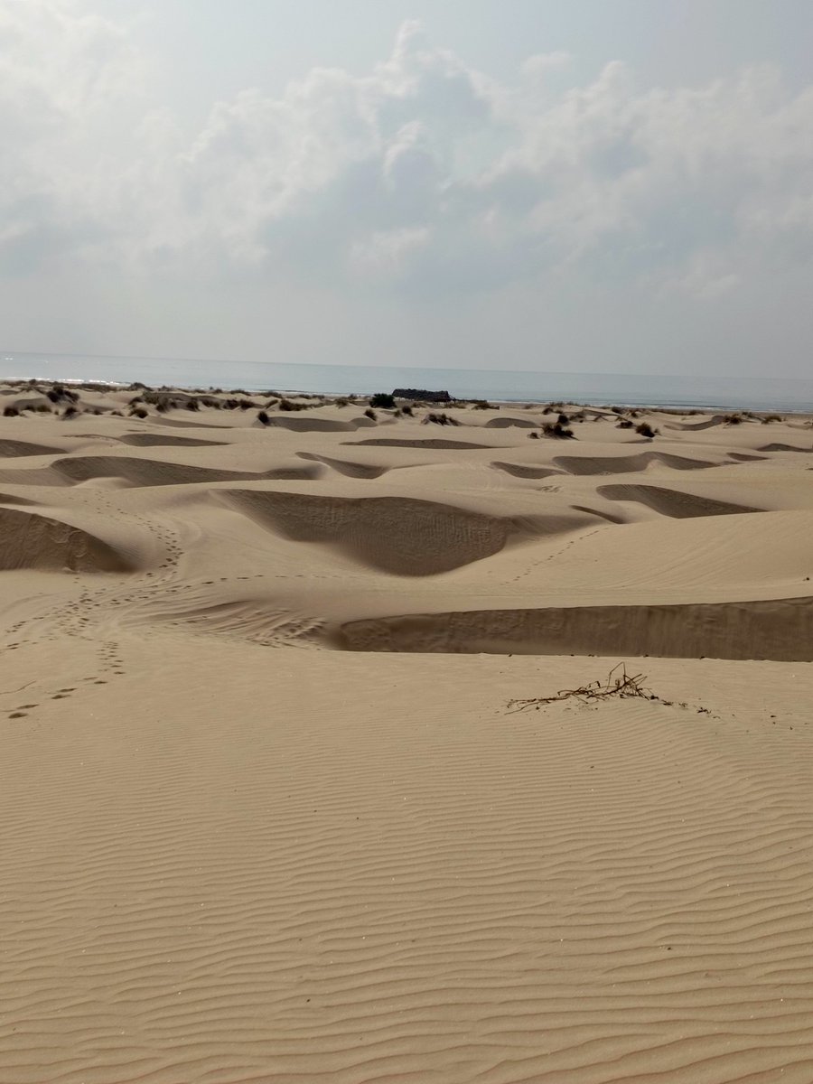 Mseto Travel Experiences tweet media