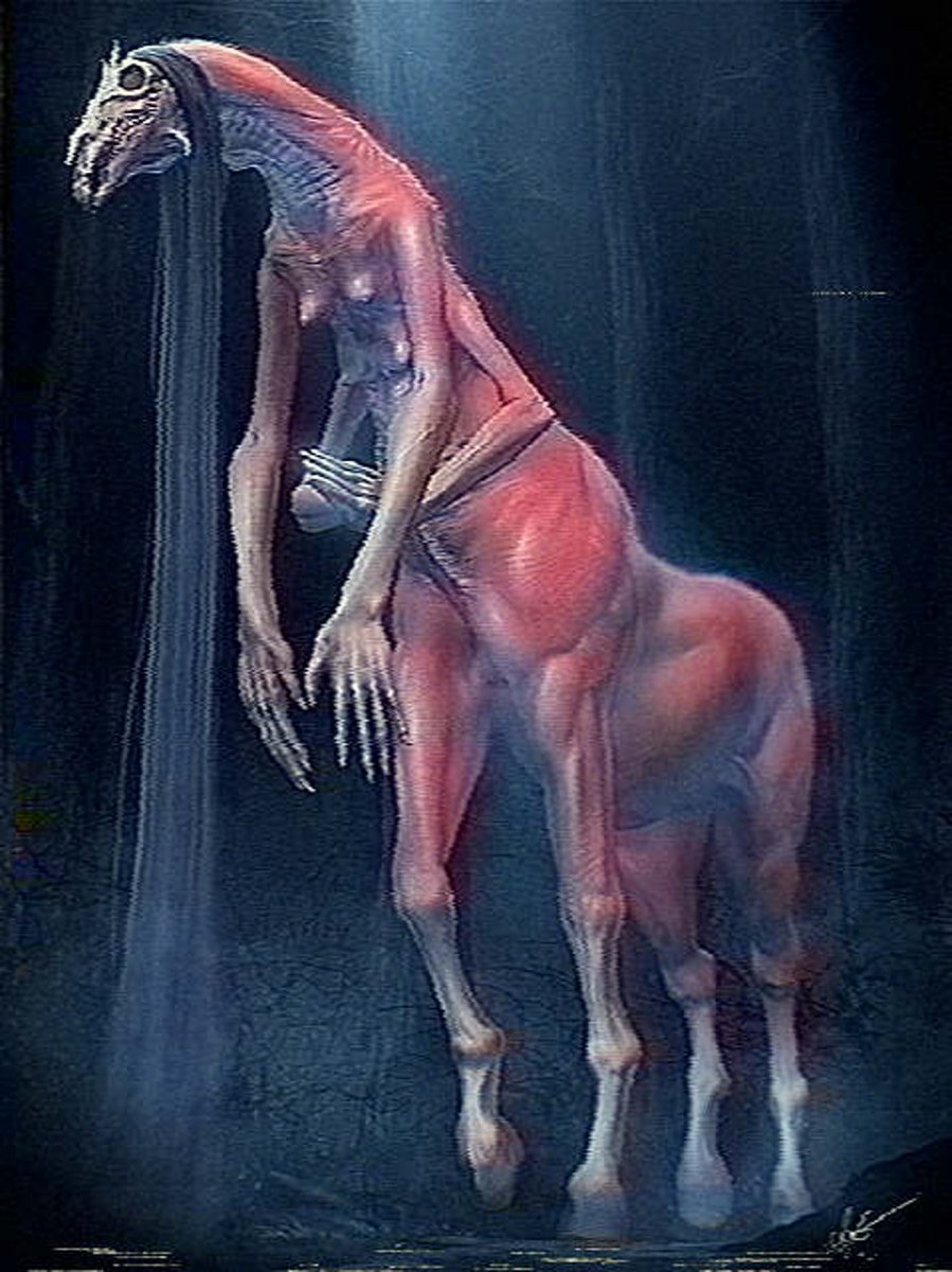 ヤマモトアキ Aki Yamamoto tweet media