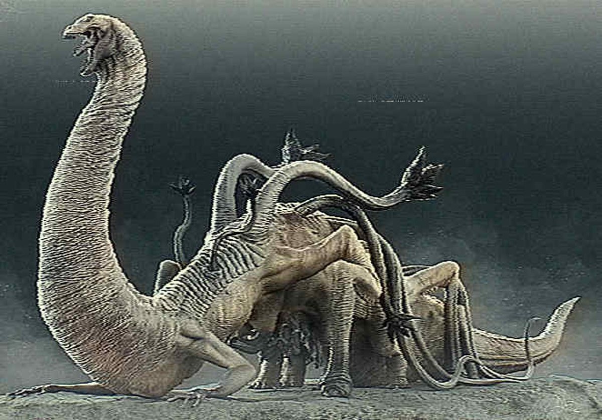 ヤマモトアキ Aki Yamamoto tweet media