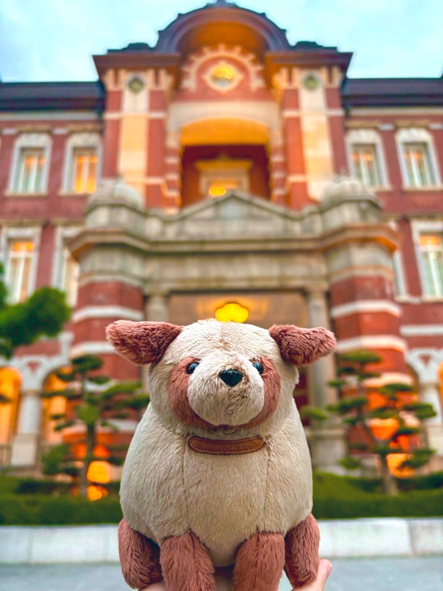 わたぬきサブレ tweet media