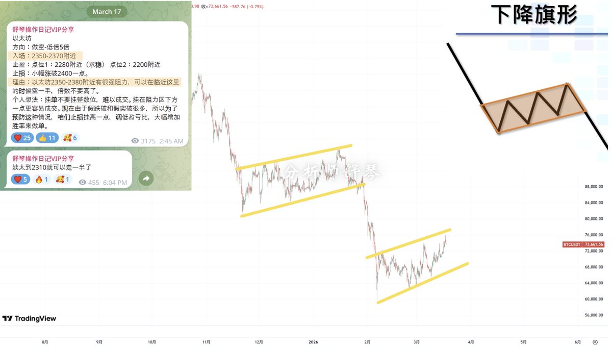 舒琴分析 tweet media