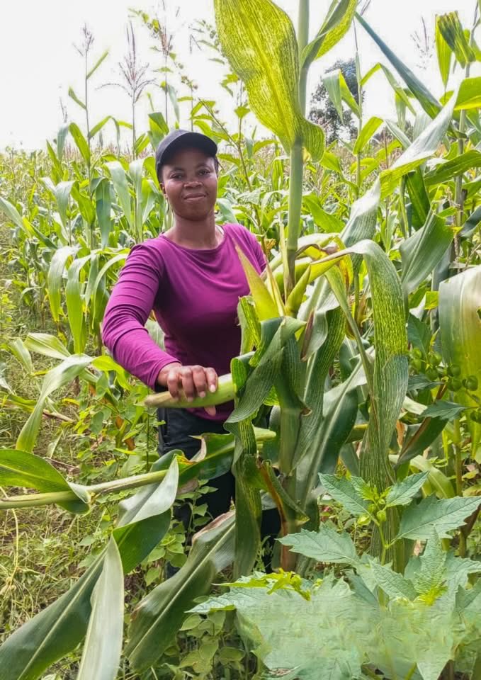 Bulembu Ministries tweet media