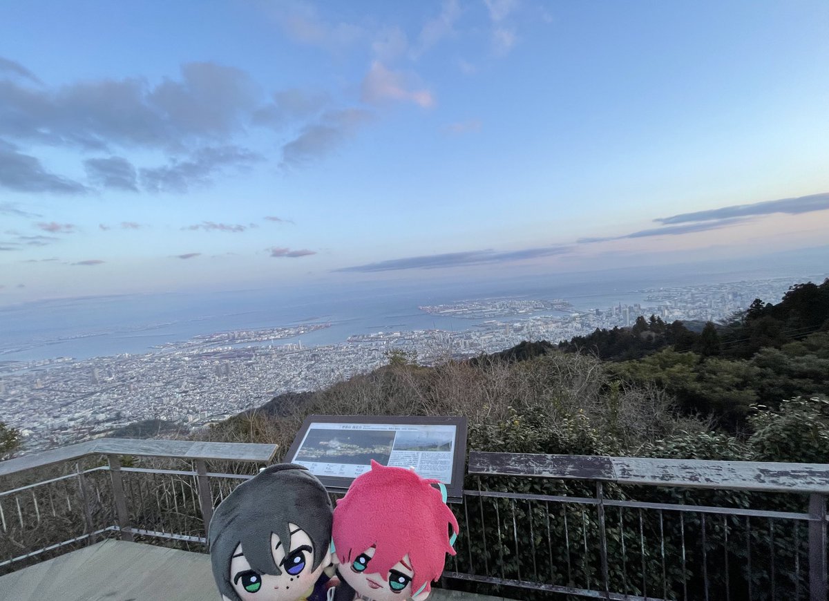 りんご畑 tweet media