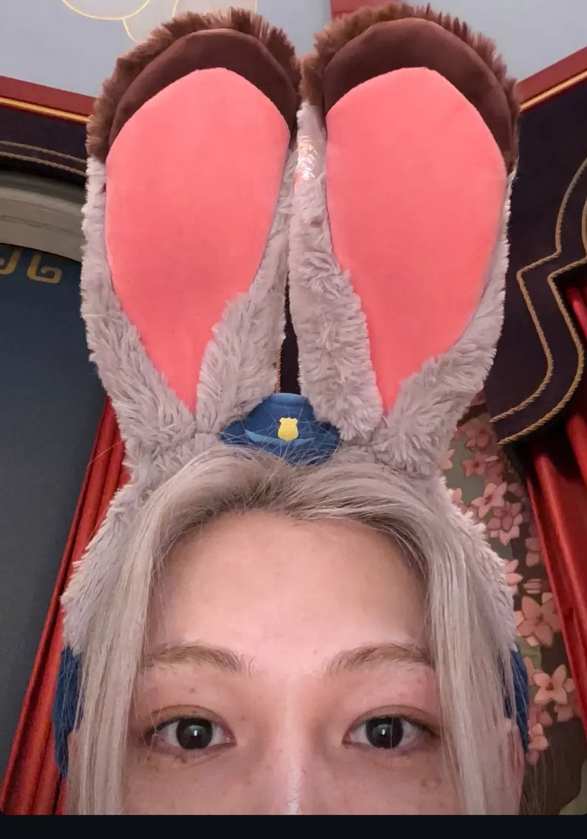 𝚊𝚎𝚛𝚊 tweet media