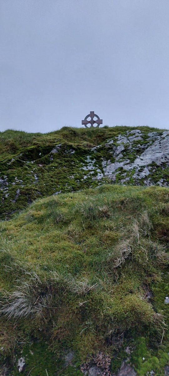 Liam @mashed tweet media