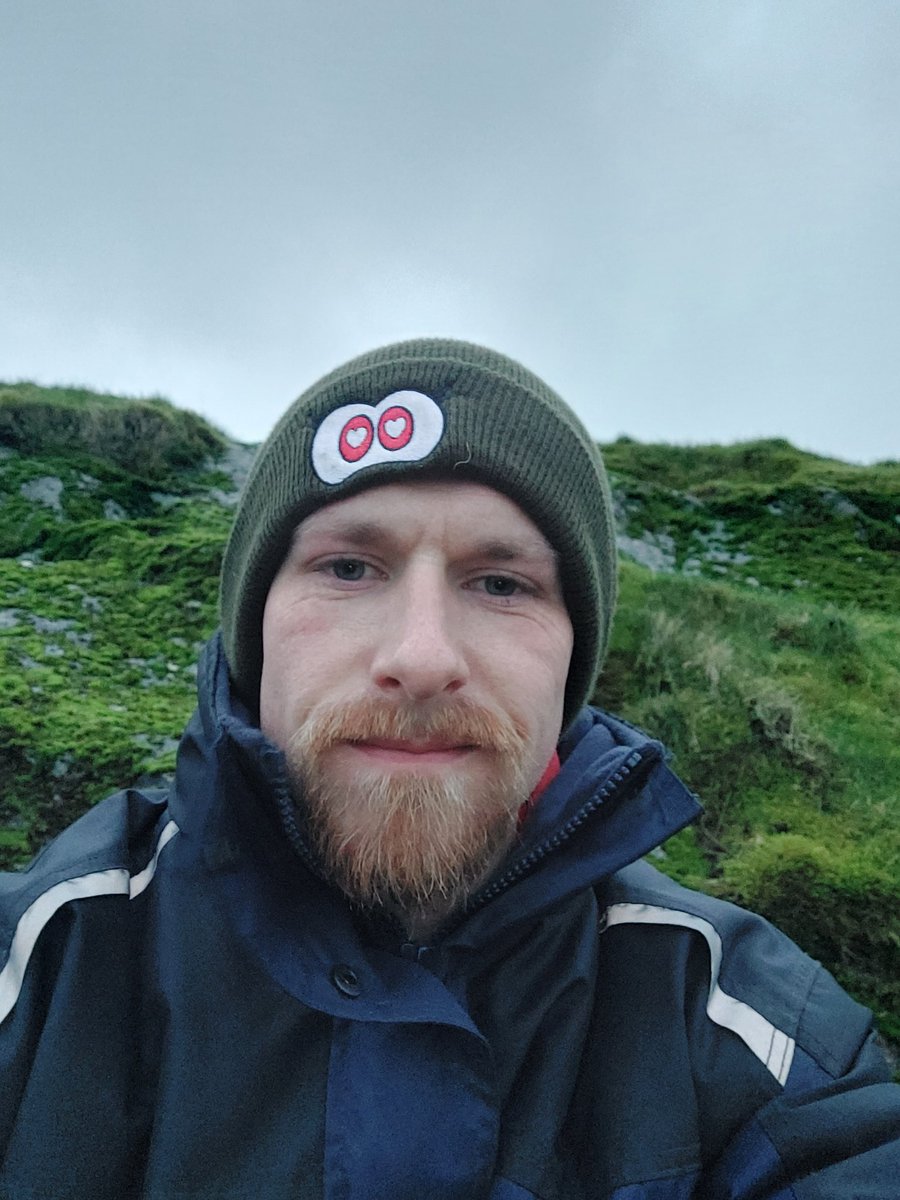 Liam @mashed tweet media