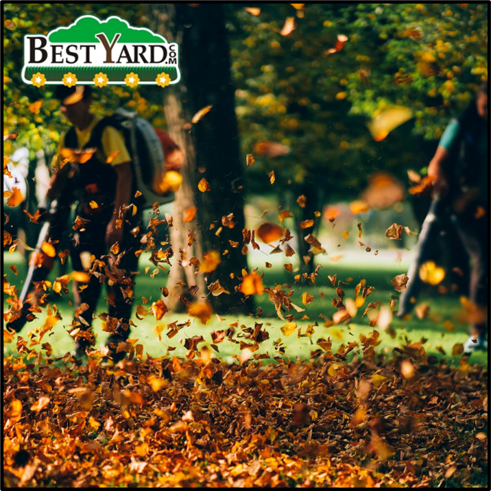 BestYard tweet media