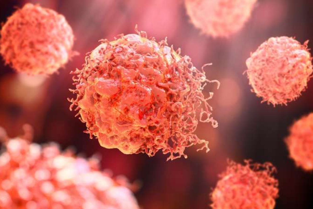 Drug Discovery World tweet media