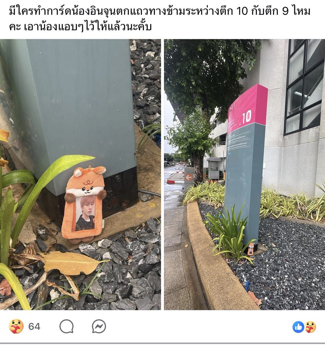 nadyezda #bothsides tweet media