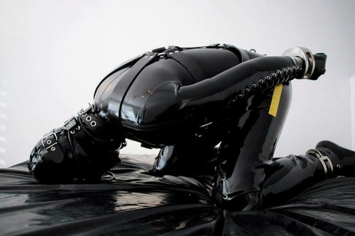 daniel.berlin tweet media