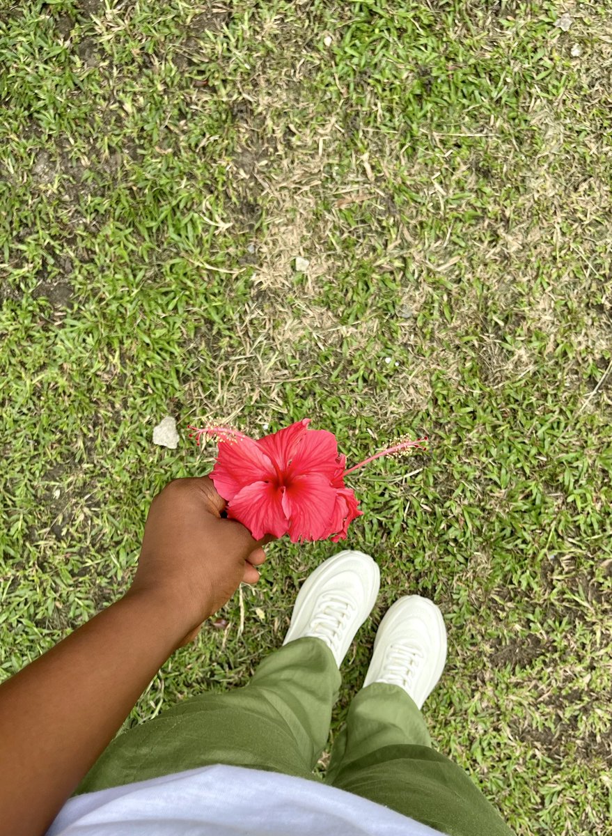 ceen⭐️💜 tweet media