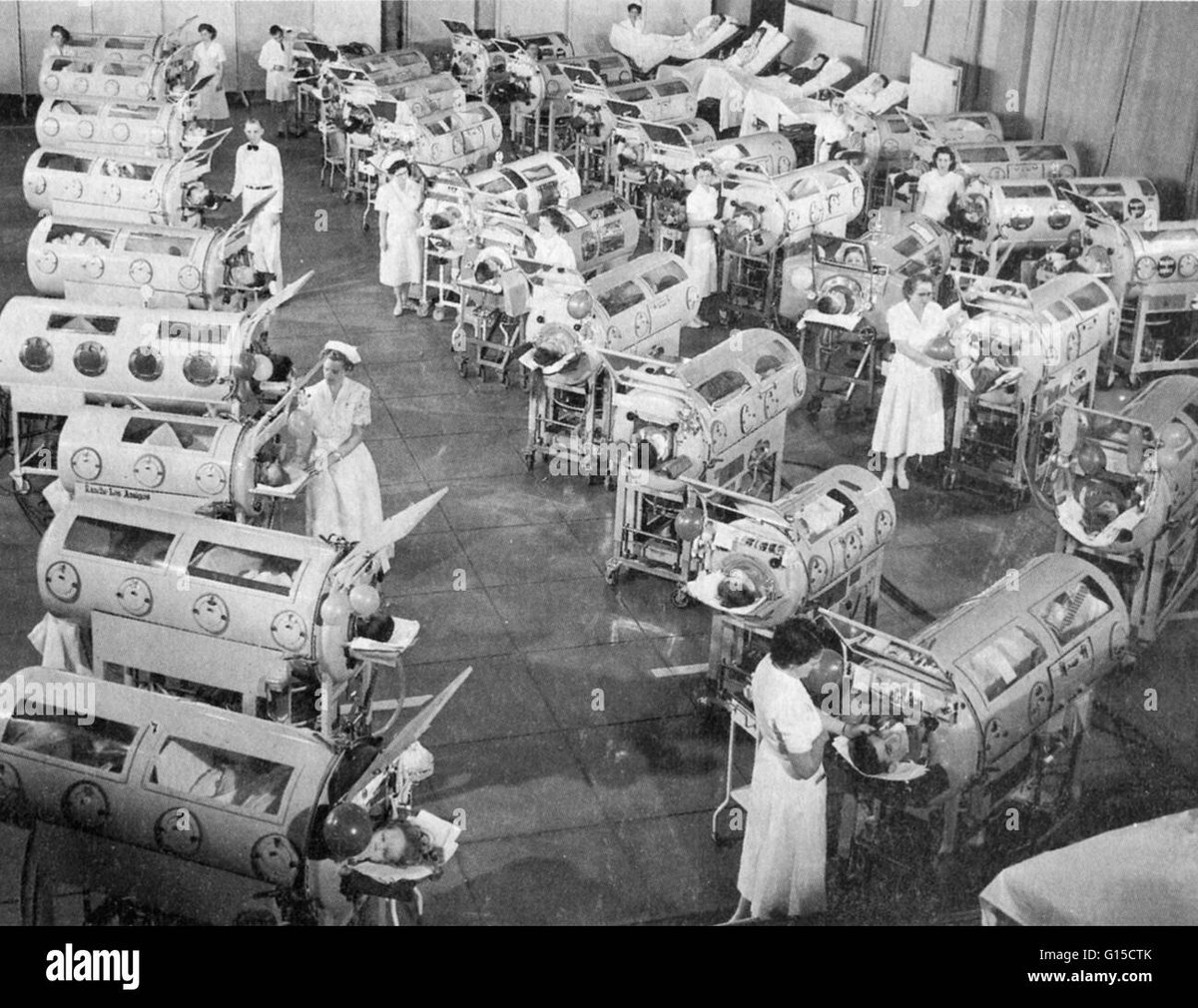 Dr. Michael Schmitz tweet media