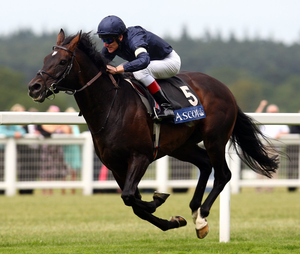 Ascot Racecourse tweet media