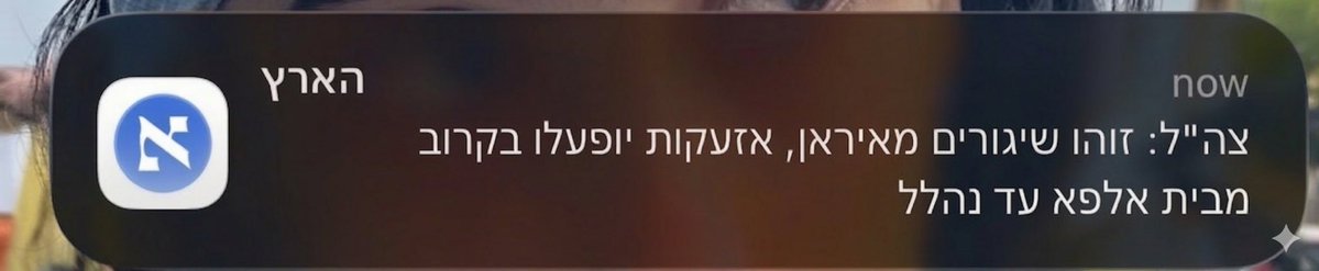 Tess Hashiloni tweet media