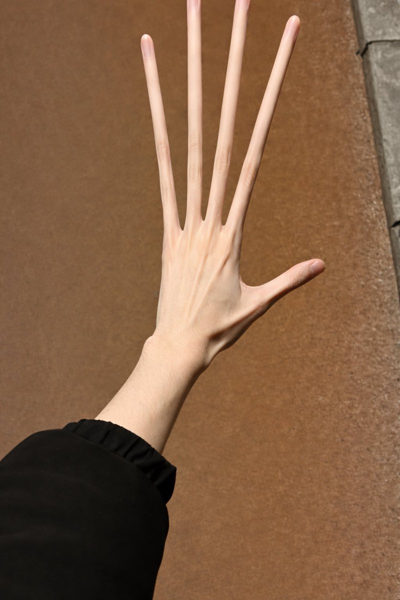 けもです tweet media