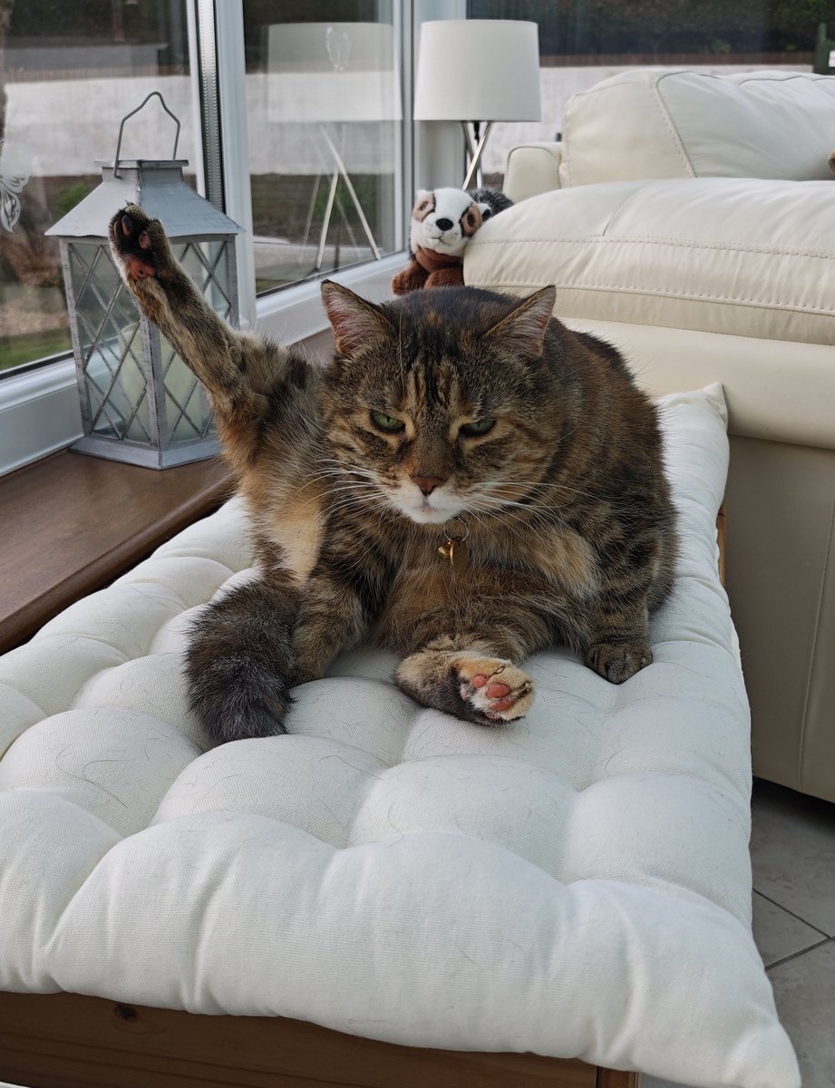 Kas08673323's tweet photo. @HaziKat That sounds like a good idea Hari. Let me know if it works. I'm just doing my yoga before I nip outside. The sun is shining and a lot of #hedgewatching to do.πΈπΎ https://t.co/FsEL8ImlOz