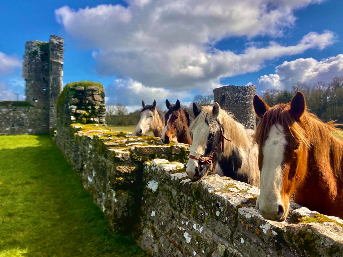 This is Ireland 🇮🇪☘️ tweet media