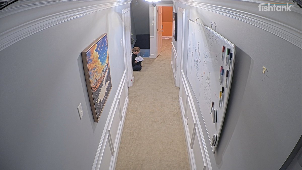 Mark_Red_04 tweet media