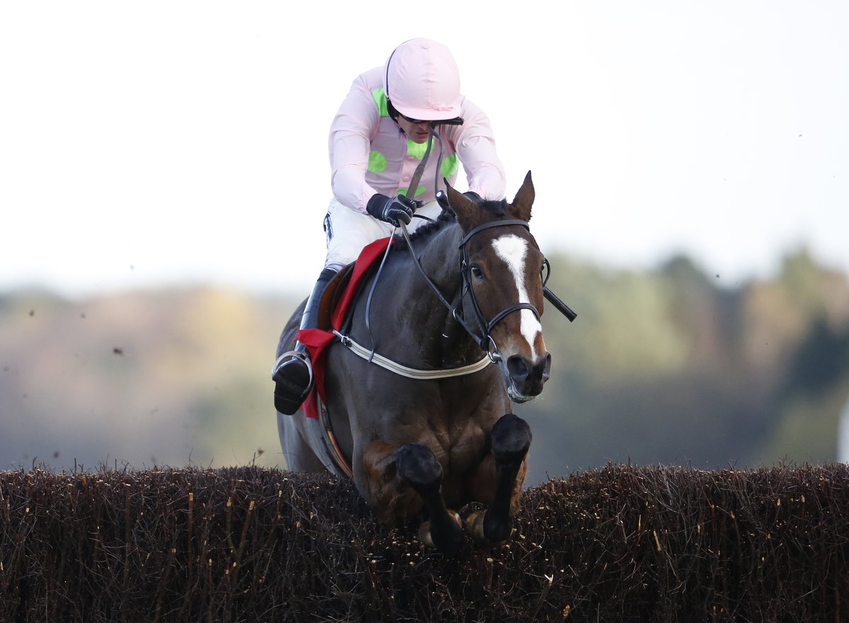 Ascot Racecourse tweet media