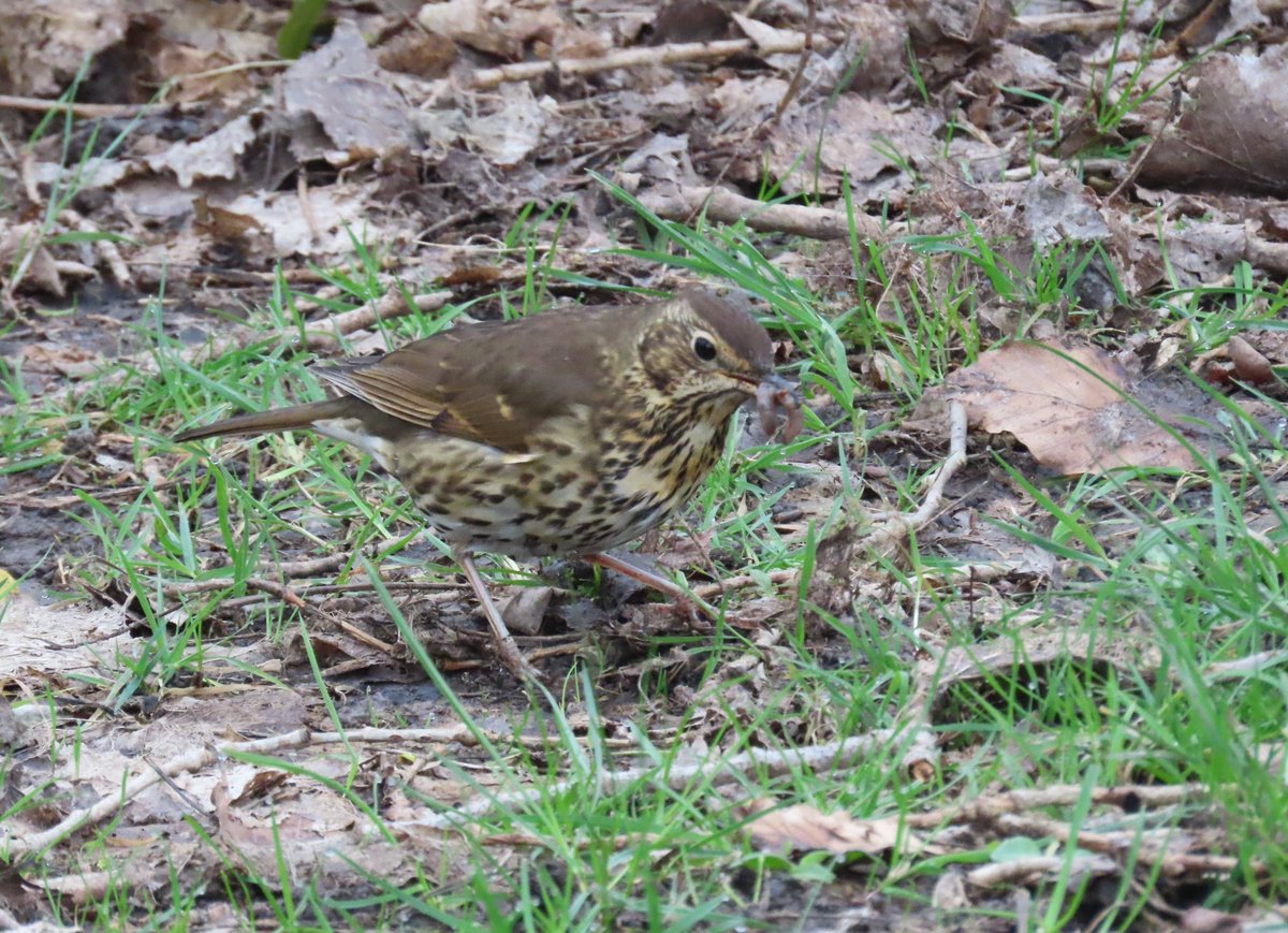 Jackie Curtis tweet media