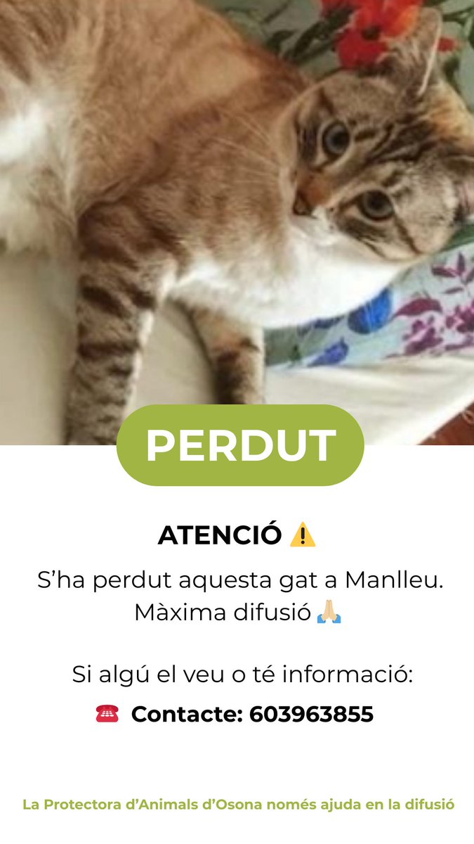 Protectora d'Animals d'Osona tweet media