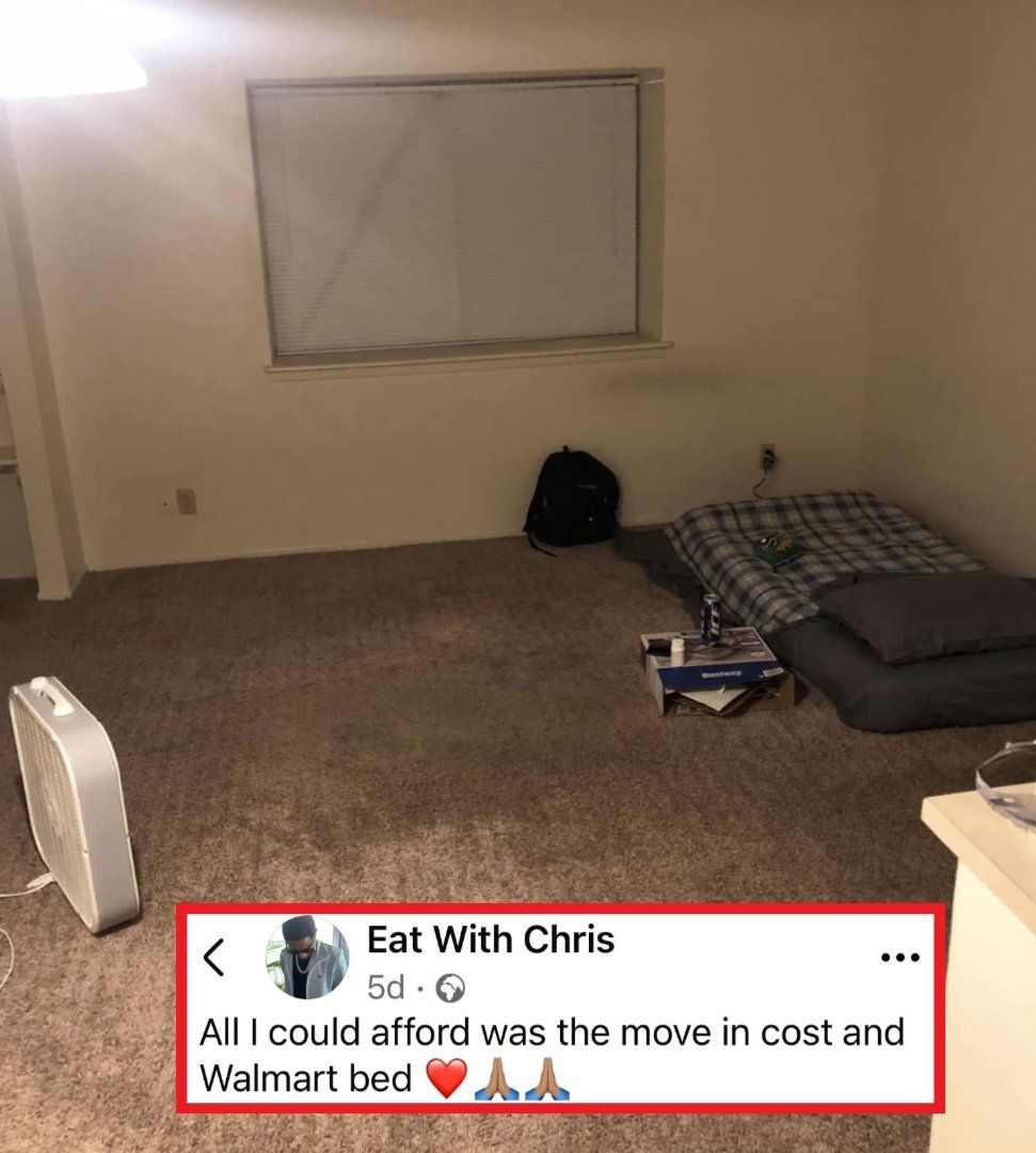 Wild Media tweet media