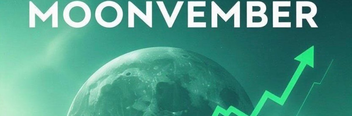 $MOONVEMBER tweet media