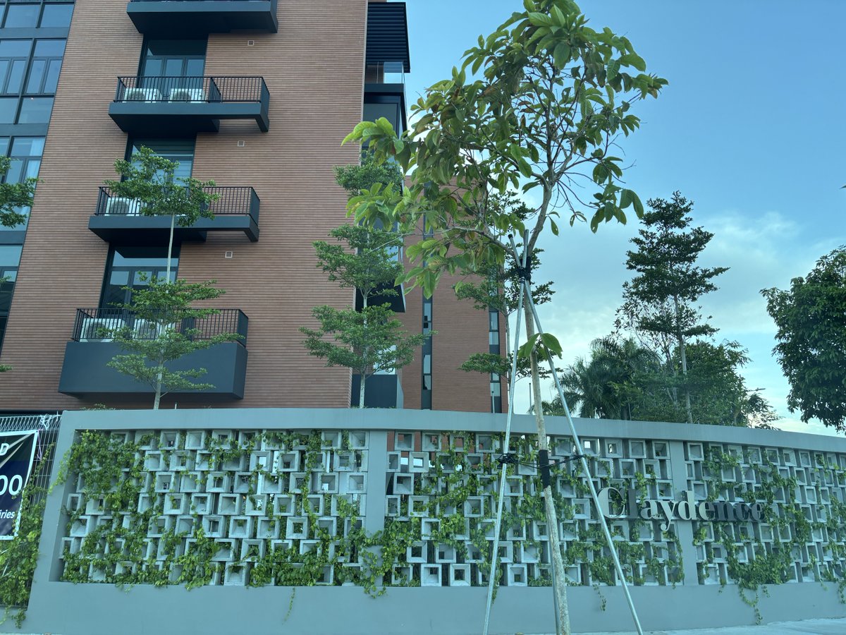 Lynn Chan tweet media