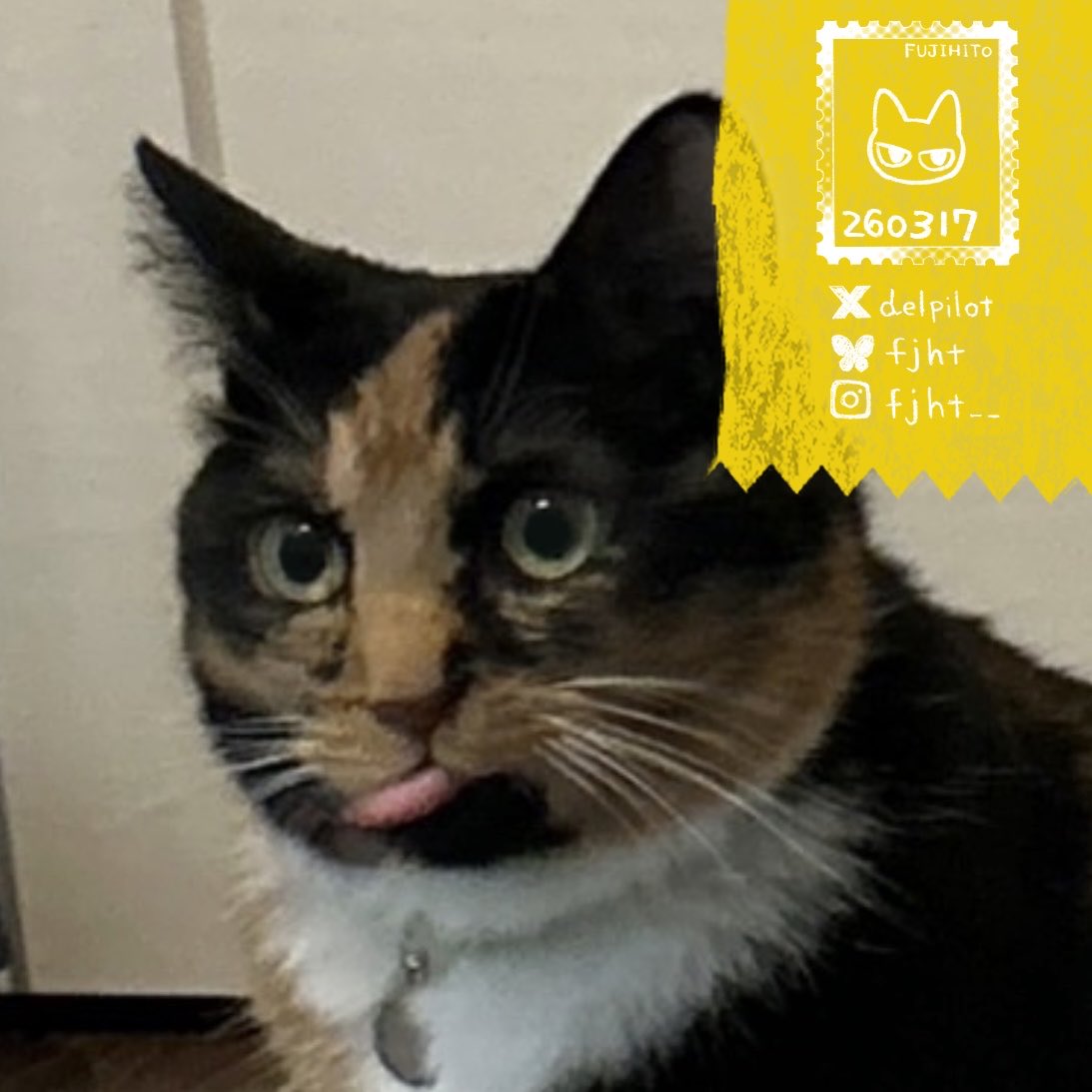 ふじひと🐾ひび猫5/20発売 tweet media