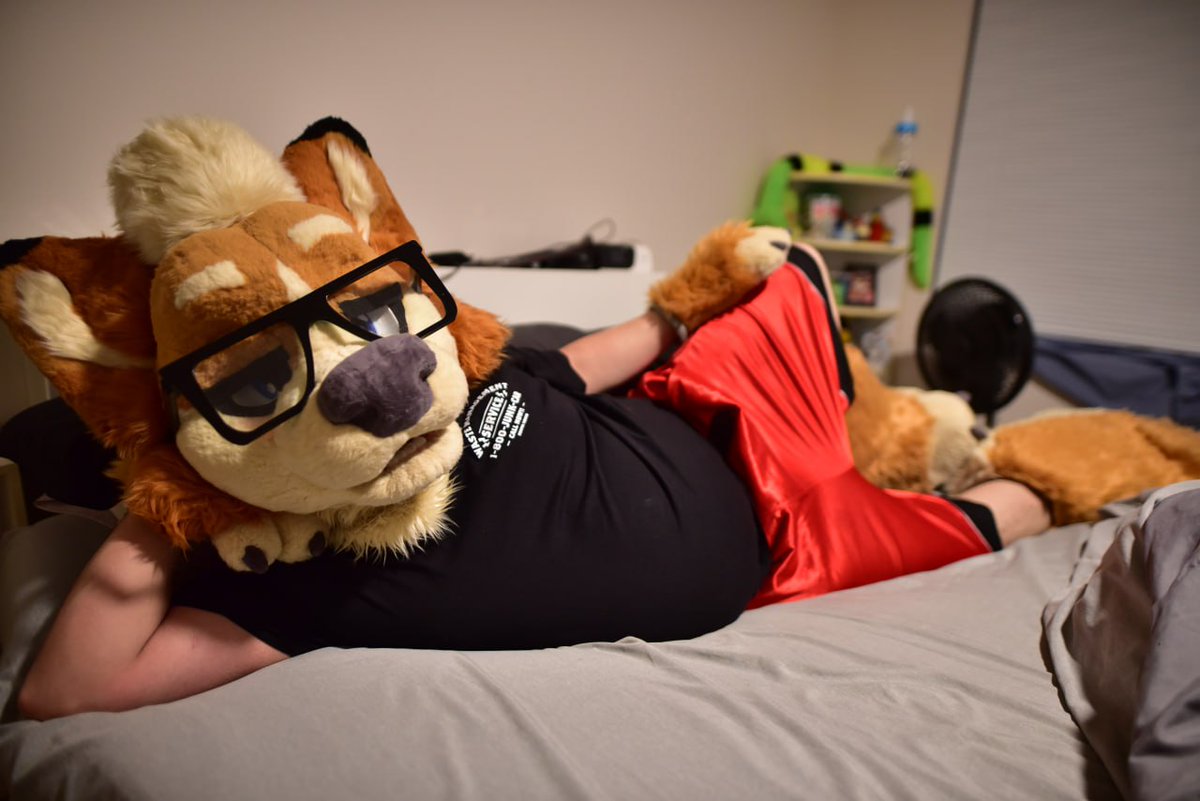 Allen the Corgi🔜with homies,Tennessee,? tweet media