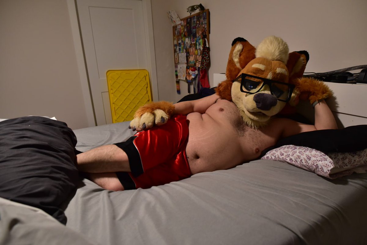 Allen the Corgi🔜with homies,Tennessee,? tweet media