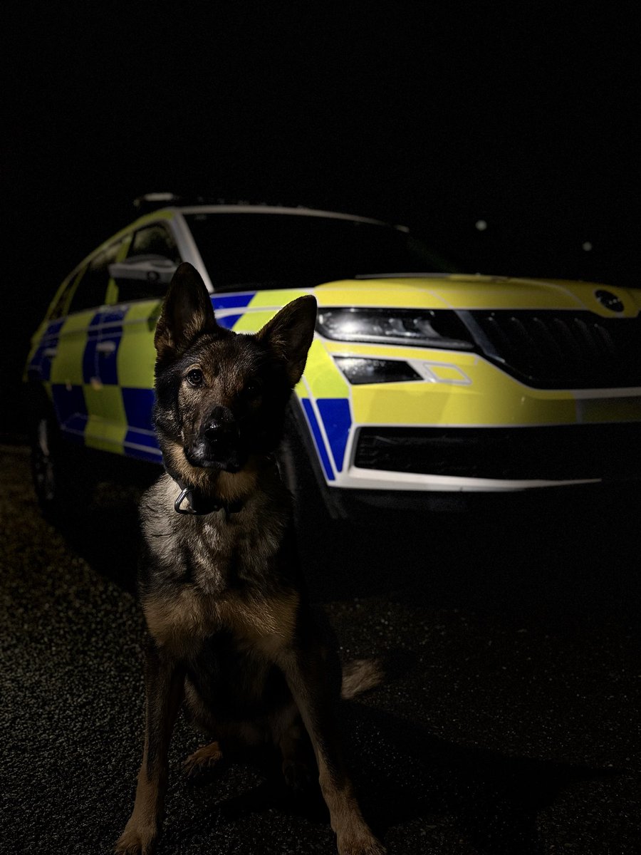 Devon Police Dogs tweet media
