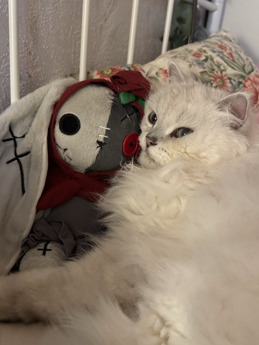 ipomo_'s tweet photo. He loves it https://t.co/0oXHKOtMPF