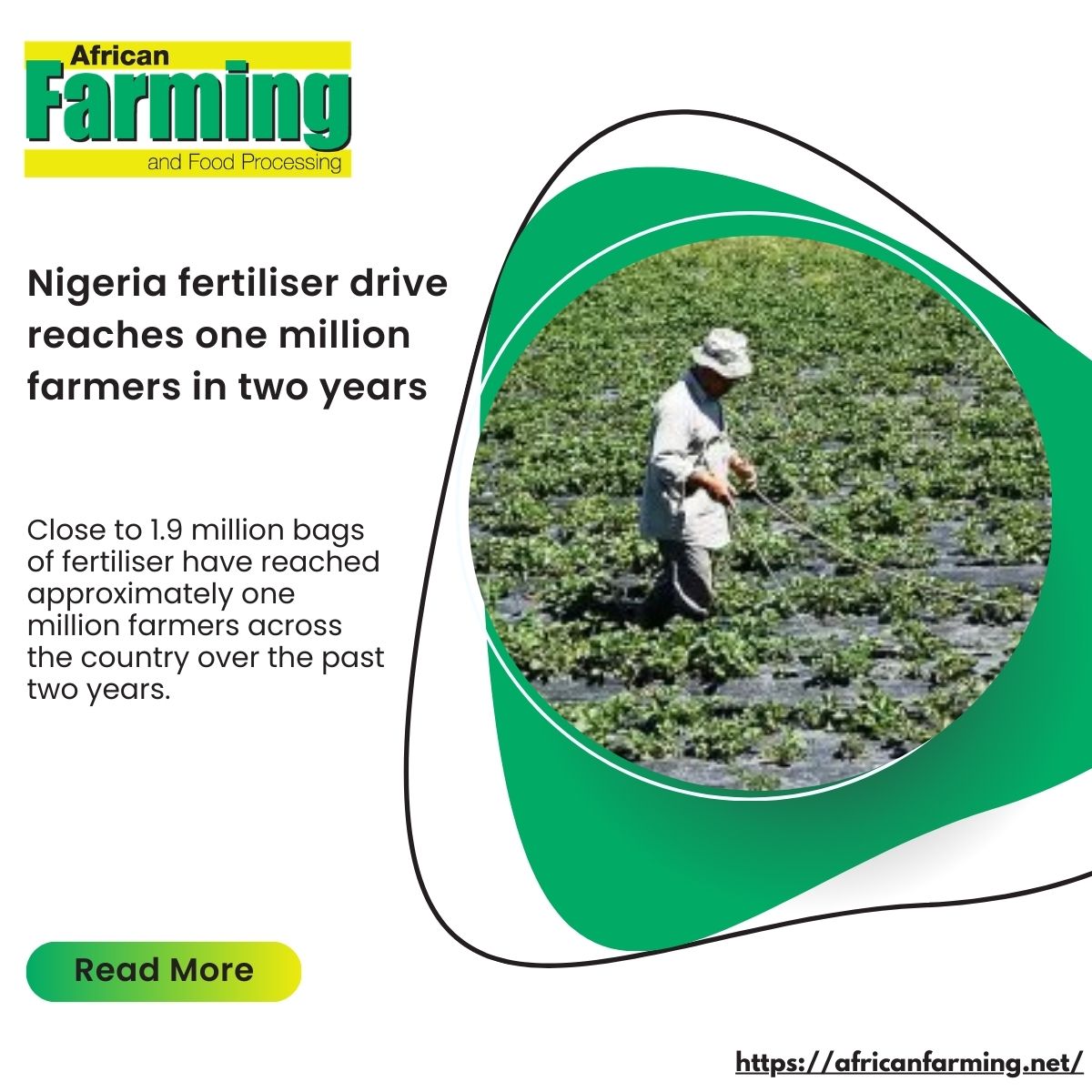 African Farming tweet media