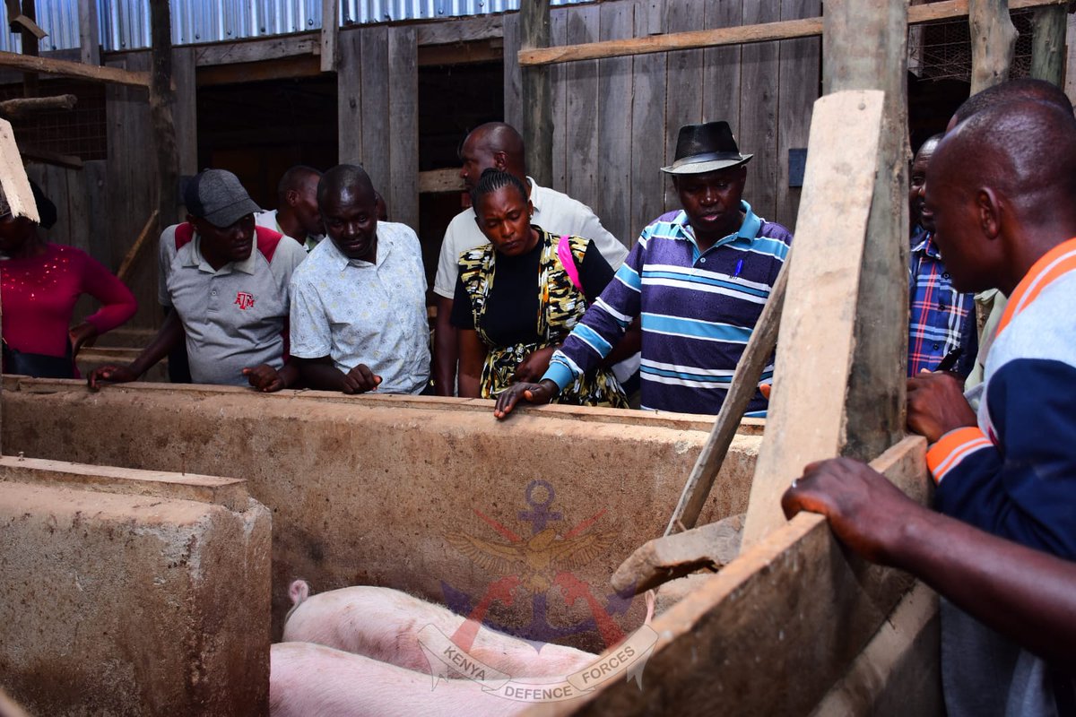 Kenya Defence Forces tweet media