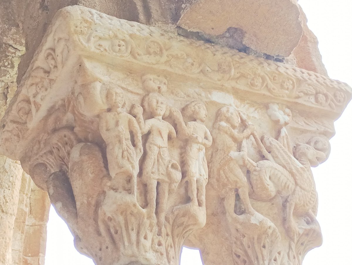 Alessandro tweet media