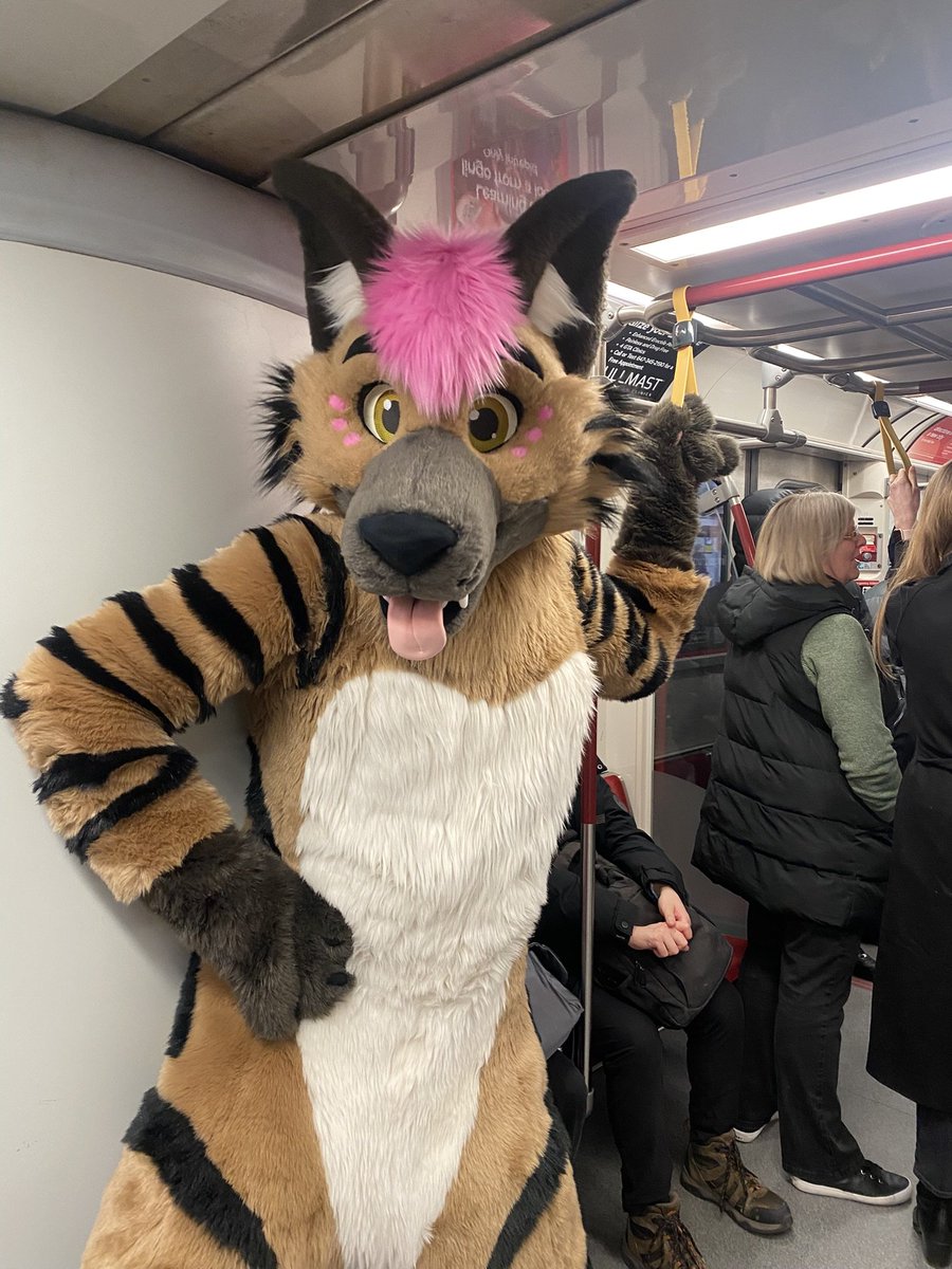 Jax Hyena / Glacier Husky 🔜 FE, AC tweet media