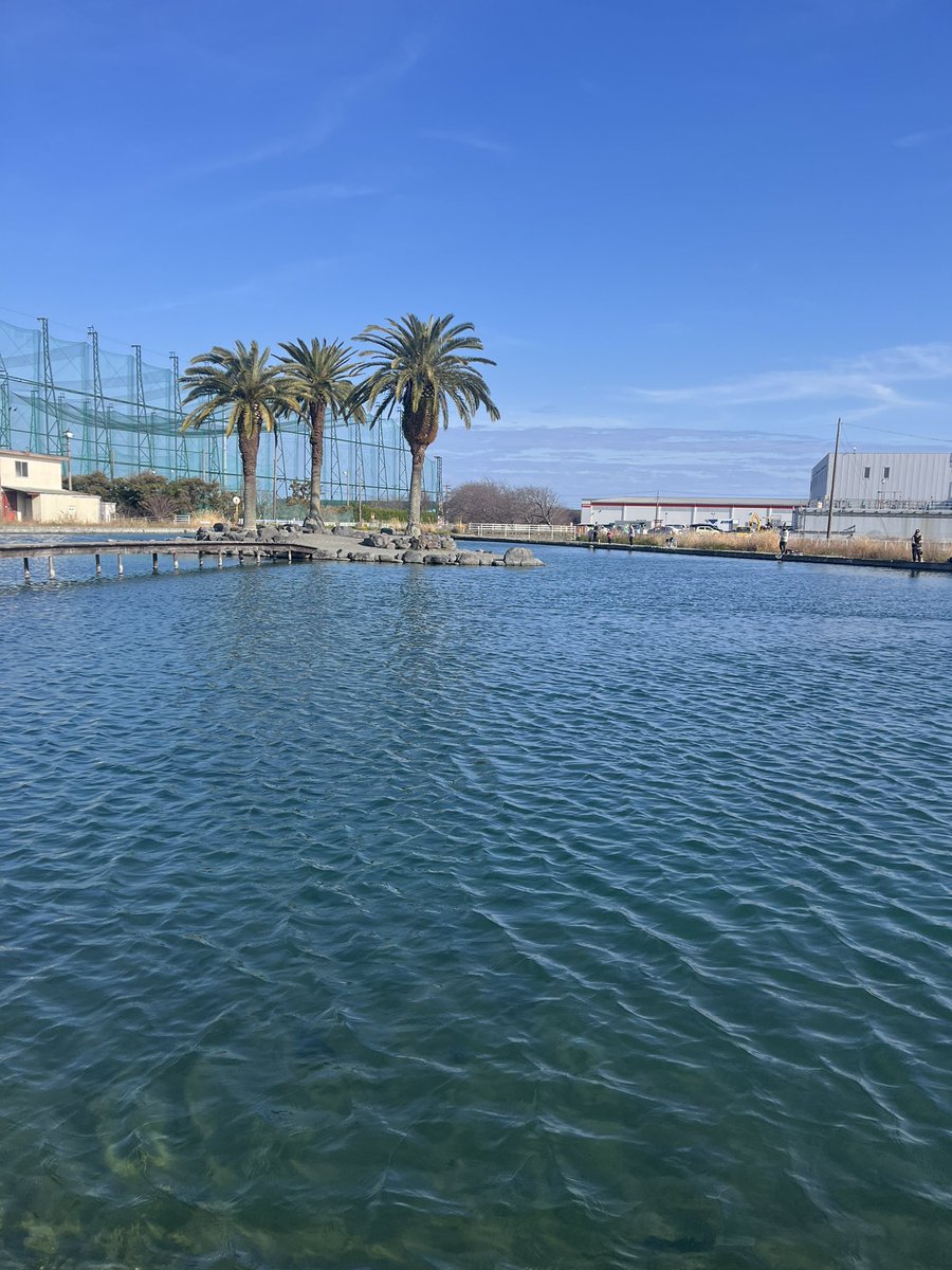 渡邊安時 tweet media