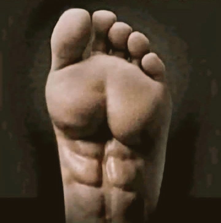 Vladimir Mašić tweet media