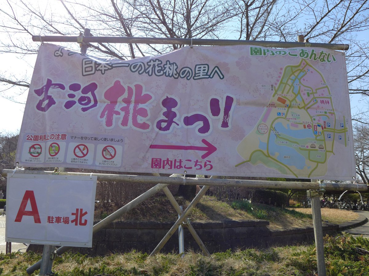 1000mi0's tweet photo. SEAGULL CF100
古河公方公園(古河総合公園)
今日はテレビのニュースで見た古河桃まつりに行ってきました。
日替わりでイベントやってるようです。
#古河公方公園 #古河市 #花桃 #SEAGULL #CF100 #上海海鸥数码照相机有限公司 https://t.co/jSFfggMctP