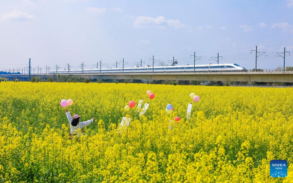 China-Caribbean Development Center tweet media