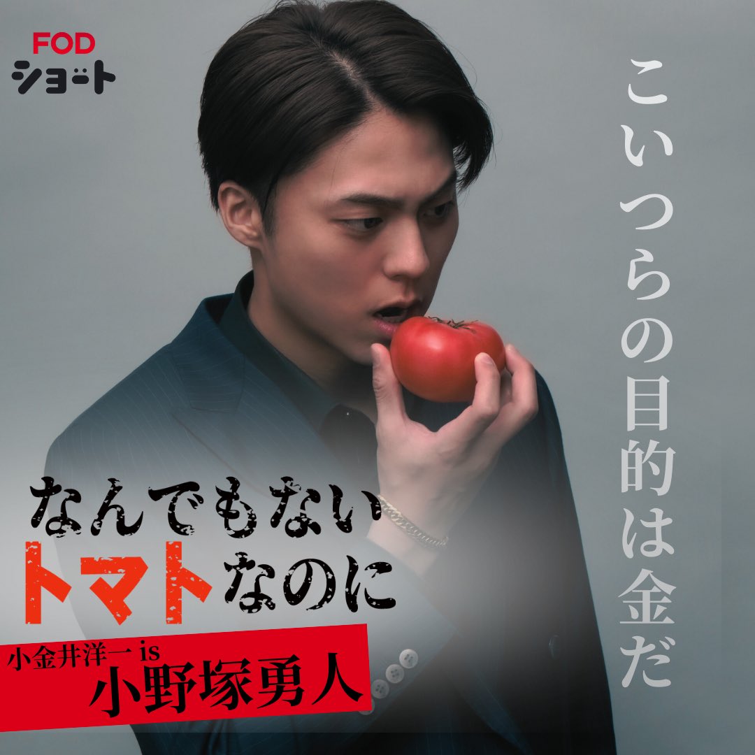 ショードラ / ショー旅 tweet media