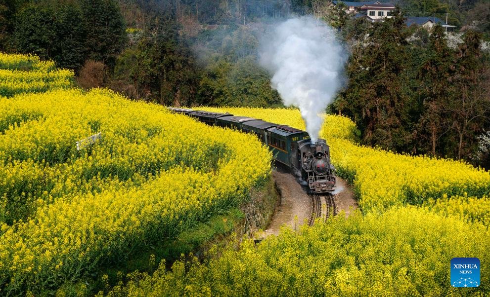 China-Caribbean Development Center tweet media