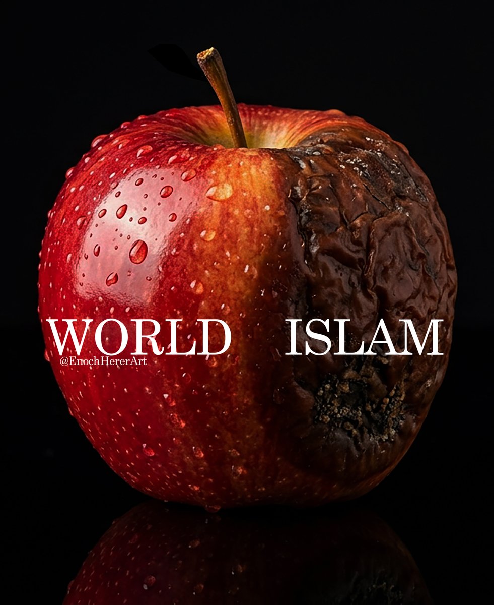 Enoch Herer 🇺🇸🇮🇱🇮🇷 tweet media