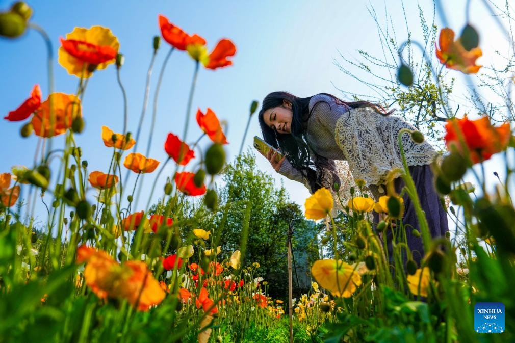 China-Caribbean Development Center tweet media