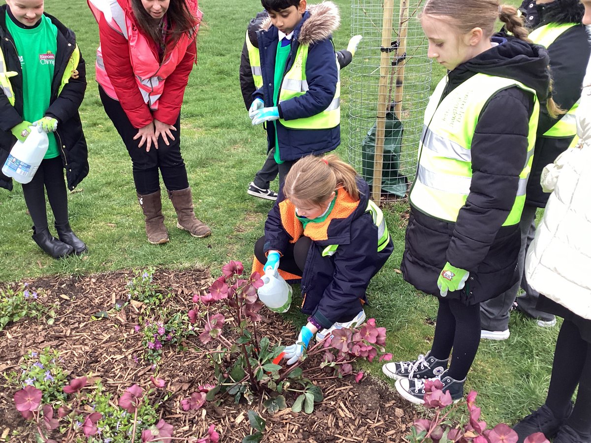 Timberley Academy tweet media