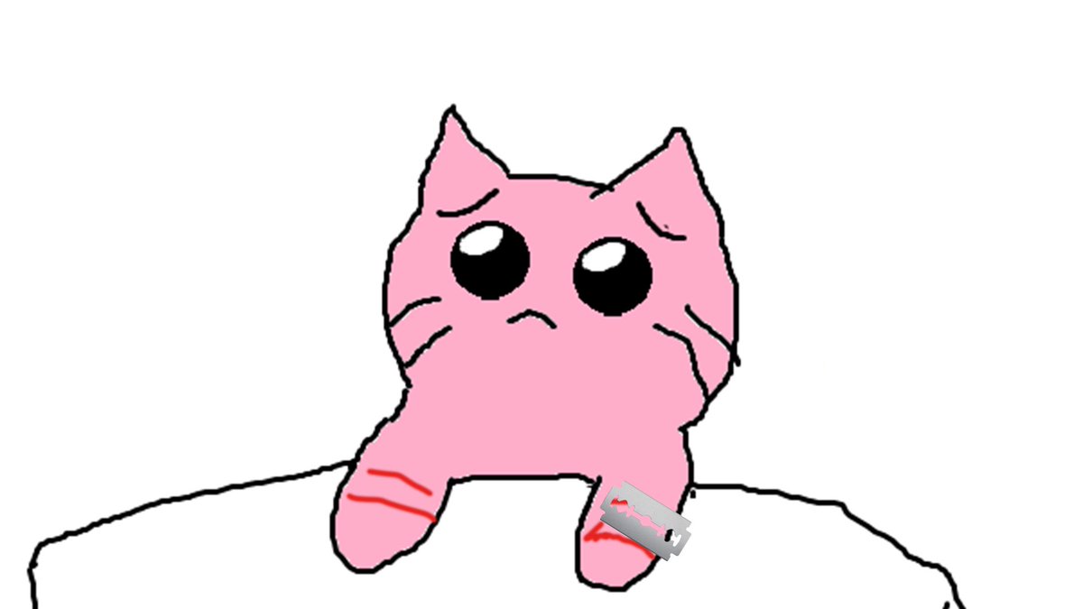 ⋆˙⟡˚₊‧꒰ა໒꒱ ‧₊˚ ୨୧ tweet media