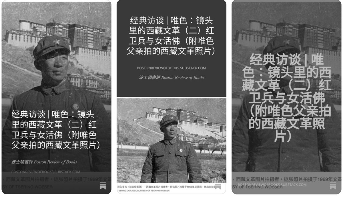 波士頓書評Boston Review of Books tweet media